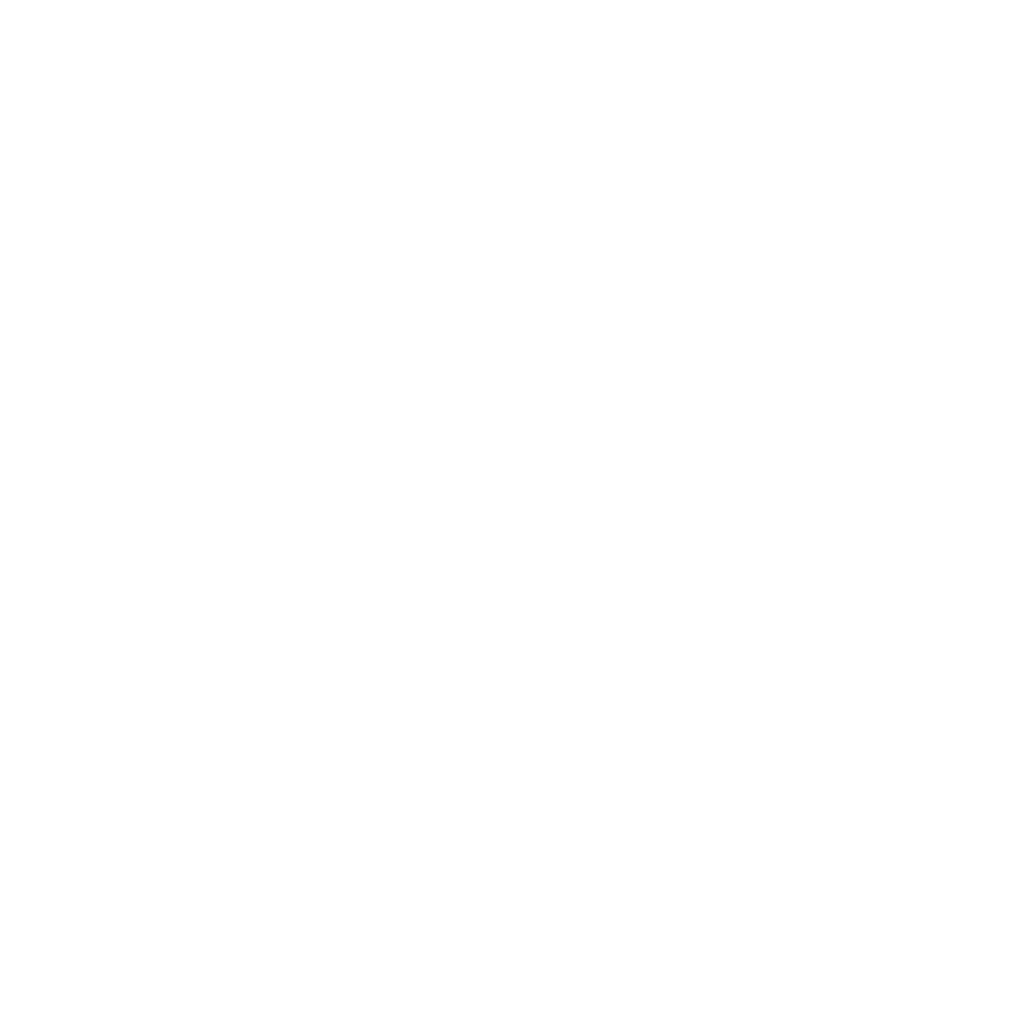Global Essor